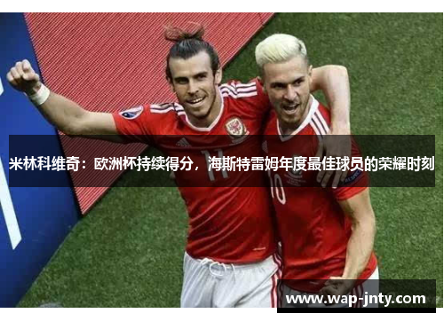 米林科维奇：欧洲杯持续得分，海斯特雷姆年度最佳球员的荣耀时刻